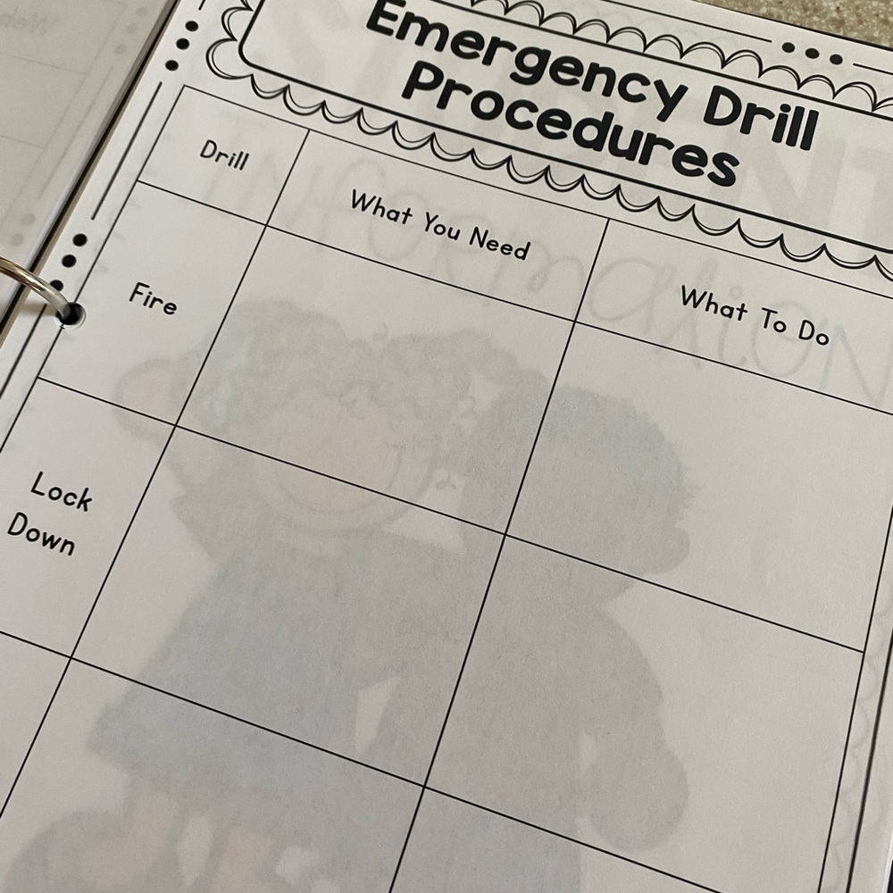 TEACHER GRAB BAG Substitute Teacher Binder - Picture 9 of 15